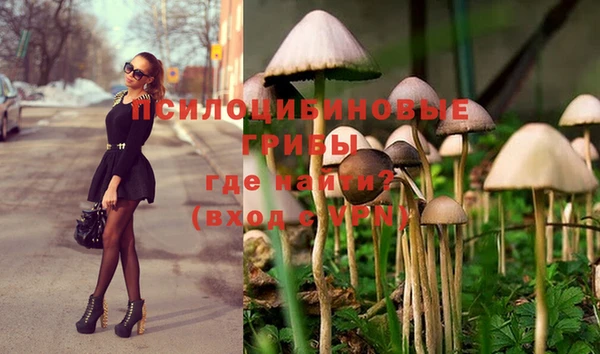 экстази Алзамай