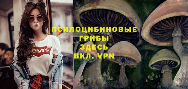 экстази Алзамай