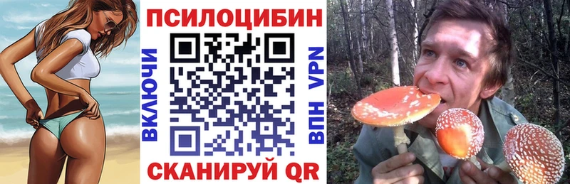 Галлюциногенные грибы Psilocybine cubensis  кракен вход  Новосиль 